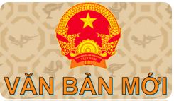 Triển khai Quyết định số 19/2021/QĐ-UBND ngày 01/9/2021 của UBND tỉnh Tây Ninh