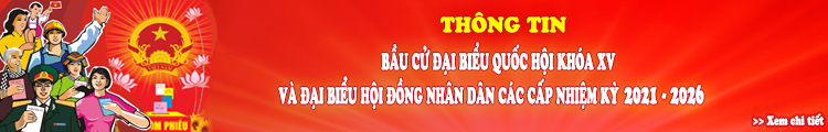 bầu cử đại biểu quốc hội